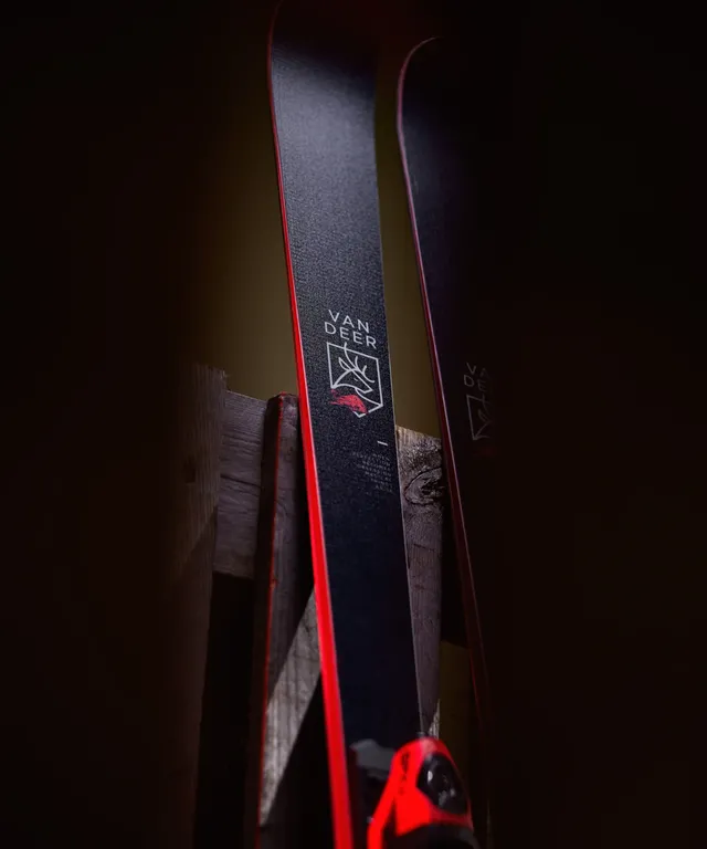 Горные лыжи Van Deer юниорские для гиганта 24/25 GS-JR PRO 18 164cm Радиус 18м + Платформа Look R21 PRO