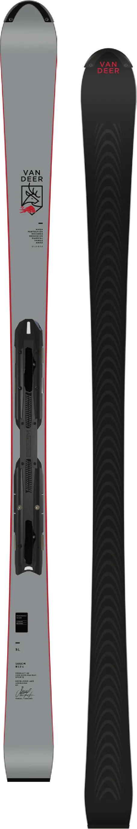 Горные лыжи Van Deer SL 165cm R12.5 grey [FDT RACE PRO]