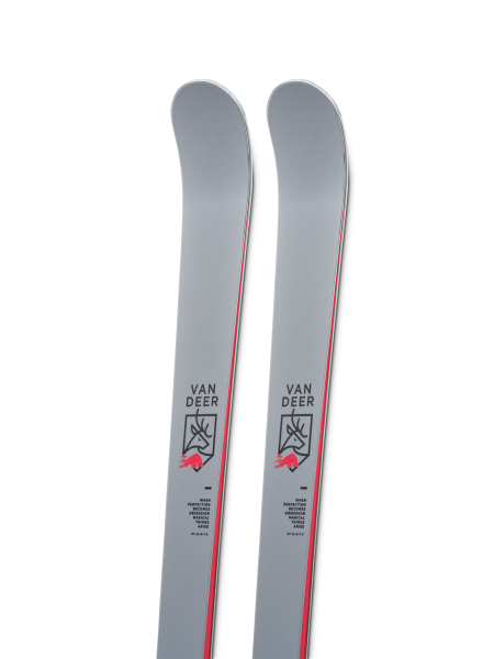 Юниорские Van Deer GS-JR PRO 164cm R18 grey с платформой Marker JR Race Pivot
