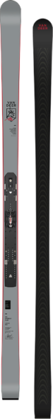 Горные лыжи Van Deer для гиганта 25/26 Van Deer GS WORLD CUP 188cm R30 grey [INF10]